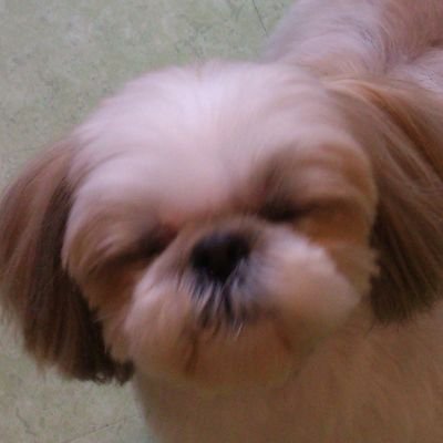 fBOi8FgHcrX22re Profile Picture