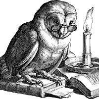 Thinking Owl (@yumeirinmei) Twitter profile photo