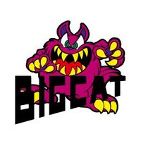 BIGCAT (@bigcat_tweet) 's Twitter Profile
