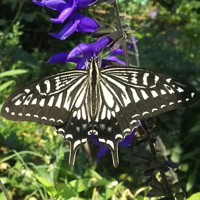 M A R ホームランド シーズン7 9話 10話 感想 面白い 尻上がりに面白くなってる 10話が終わってシーズン7とキャリーがリスタート キーン大統領側の動きもハラハラして見逃せない 関係ないけど キャリーは活動の為に敵側のスパイと寝過ぎ 笑 M A R ホームランド シーズン7 9話 10話 感想 面白い 尻上がりに面白くなってる 10話が終わってシーズン7とキャリーがリスタート キーン大統領側の動きもハラハラして見逃せない 関係ないけど キャリーは活動の為に敵側のスパイと寝過ぎ 笑
