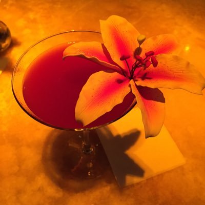 qwertyabcxyz1's profile picture. Don’t allow yourself to be a victim b/c the media (or Democrats) expect you to. A WOC with a mind of her own....super scary to Democrats (esp. white male ones).