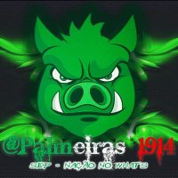 Palmeirass_1914💚🐷 (@gabriel40031445) 's Twitter Profile
