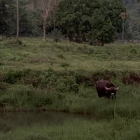 rccfangul (@rccfangul) 's Twitter Profile