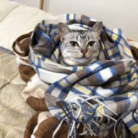 tatatanota (@taco094227621) 's Twitter Profile