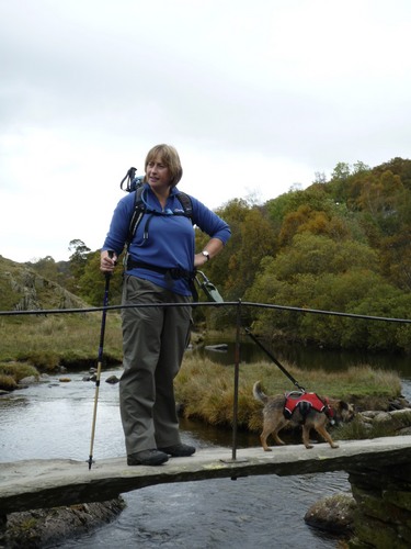 I run a successful puppy Training School in Ely Cambridgeshire, I cover all aspects of pet dog training and behaviour with one to one home sessions