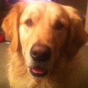 Toby Baker - @TobyBDoggy - Twitter