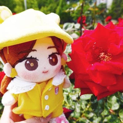 레드벨벳인형 ❣레벨라❣끝さんのプロフィール画像