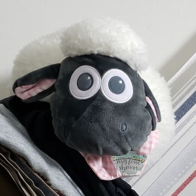 伊御(いお→ゐお)と申します。衰えた体力を取り戻す一環でDDRをたまにやります。年1、2回の遠出を目標とする社会の歯車。 やってたり好きな物 → グラブル/ゼンゼロ/アークナイツ/FGO/温泉/蟹/練り切り #ゐおメモ 初心者ライダーになりました #ゐおさんぽ