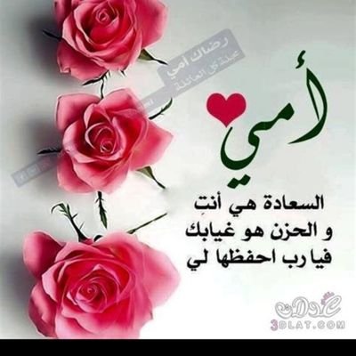 سيظل تدبير الله لك أفضل وأجمل مما تريد وتتمنى