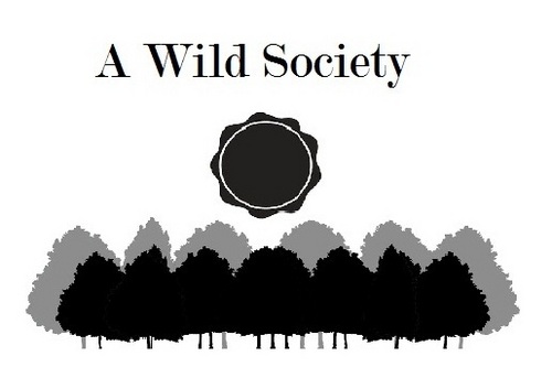 APDTwoFive's profile picture. 