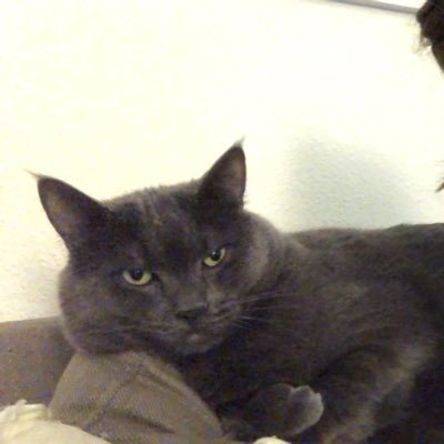 ripleyd43's profile picture. unmmmm 🤪