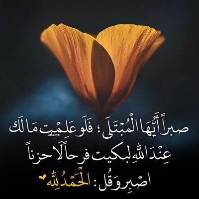 hajisarkawt's profile picture. كرة القدم الرياضات الفن افلام القرأة و السباحة
