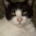 Kellie Day - @kellie_day73 - Twitter