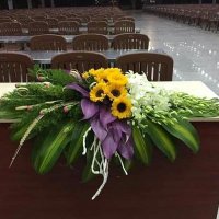 Tun Tun (@tuntun43389691) 's Twitter Profile
