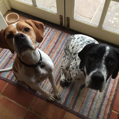 lowerowlend's profile picture. 