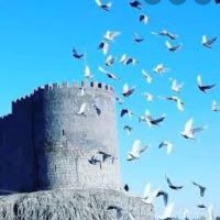 Rodin Rodin (@rodinrodin9) 's Twitter Profile Photo