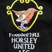 Horsley United FC (@fc_horsley) 's Twitter Profile