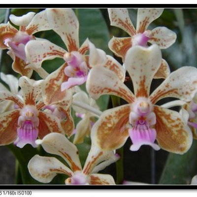 #education,#sports,#music,#martial,#orchids,#ferns,#gardening , #nature,#photography,#animal,#bird
Promoting the culture of #peace with #love and #conscience