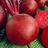 Profile Picture of TheStreetBeet (@@Bobby_Beet) on Twitter