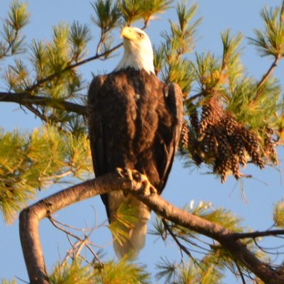 ktpfeiffer54's profile picture. 