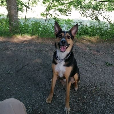 RosenblumAdrien's profile picture. 