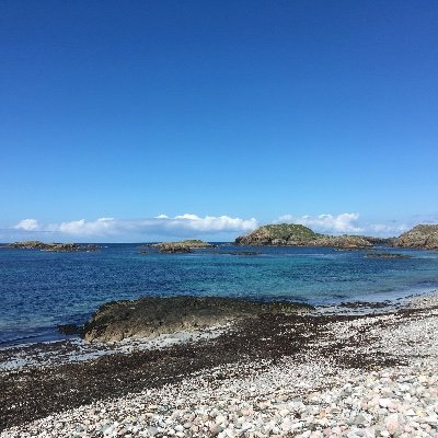 Historian of Africa and the world at the University of Edinburgh