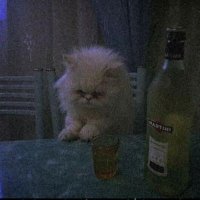 Eren (@mynameisihtiras) Twitter profile photo