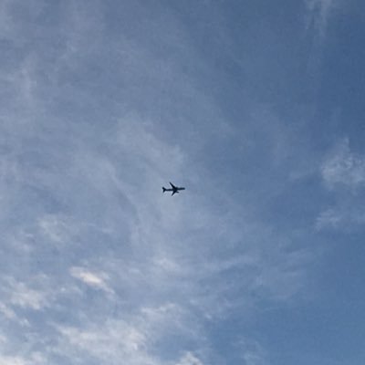 ほそぼそチェロ。クラシック。のだめカンタービレが好き。生まれ育った東京より夫の出身地の酒田と庄内弁が大好き。チェロは好きだけど 静寂の方が好きなのかもしれない。今年は写真と金継ぎやりたいな。