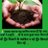 Sarita93824487's profile image