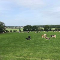 Julien (@julien29345172) 's Twitter Profile