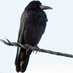 BoekenRoek (@boekenroek) Twitter profile photo BoekenRoek (@boekenroek) Twitter profile photo