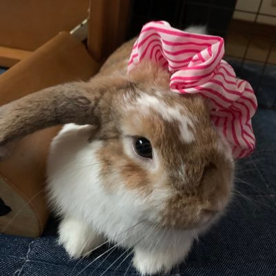 みにこさんのプロフィール画像