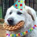 Heckin Good Dogs (@heckingooddogs) Twitter profile photo Heckin Good Dogs (@heckingooddogs) Twitter profile photo