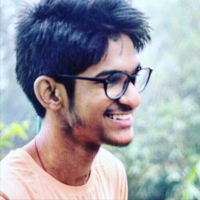 Software Developer