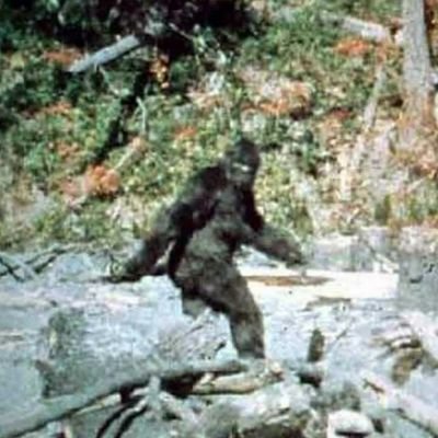 WalkingApe's profile picture. Habitant of the World Zoo.