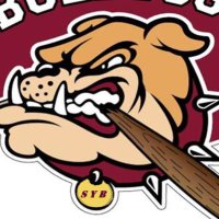 Stow Travel Baseball (@stowtraveldawgs) 's Twitter Profile