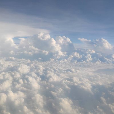 zhiqian24939523's profile picture. 