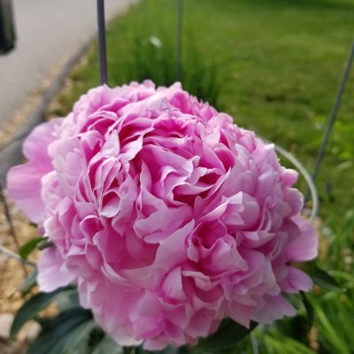 katlorder's profile picture. Proudly rooting for the environment, climate, choice, equality, animal rights, wine and love. Wife/stepmom/daughter/sister, animal lover and rescue advocate. 💙