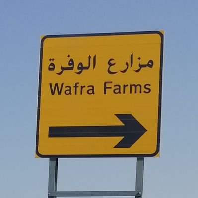 WafraFarms1's profile picture. فيصل البابطين
❤️ زراعة🌹