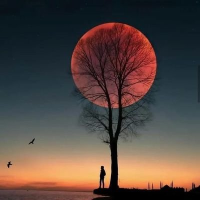 rafeeqahmed845's profile picture. Be strong enough to let go,and patient enough to wait for what you deserve.....