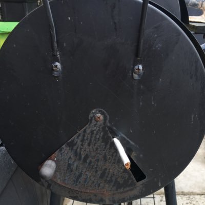 A_jmc1's profile picture. dogs over humans