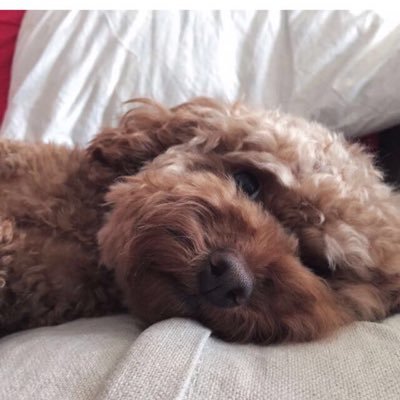 kristiinnnaaaa's profile picture. The universe is in our bones, and the stars in our soul.