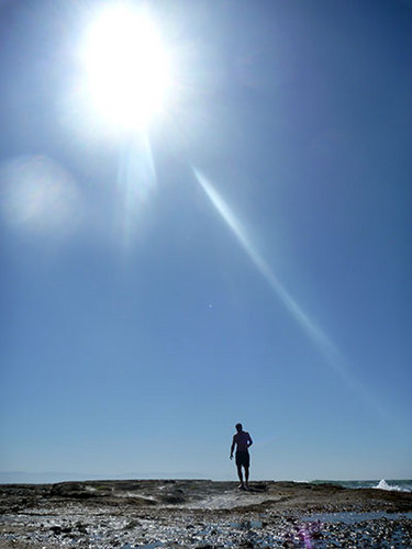 lfafard's profile picture. 