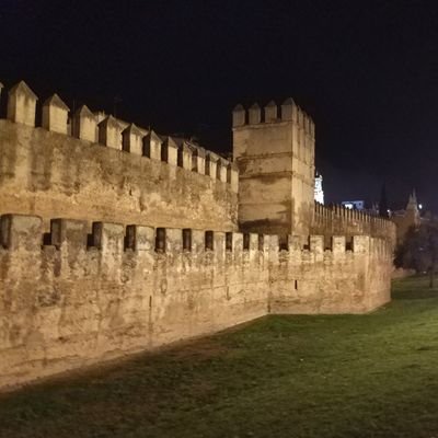 david_cidoncha's profile picture. 