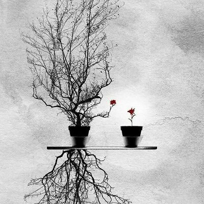 AWcYsOy8P7IM5hR's profile picture. أنا باقي
بداخلك 
كالوشم في جسدك لايزول ،،
عطري عاكف في أنحاء صدرك ،،
كلما تحركت تناثرت حولك