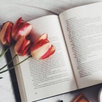 Areej (@areej_o47) 's Twitter Profile