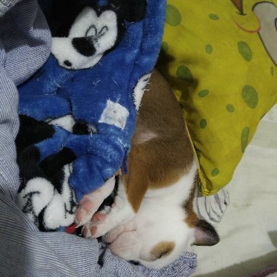 Josaten99134768's profile picture. Shit happens