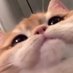 blah (@ployypitcha) Twitter profile photo blah (@ployypitcha) Twitter profile photo