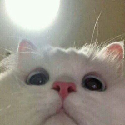 kaceymms10's profile picture. 