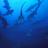 wolfrockdive's profile image